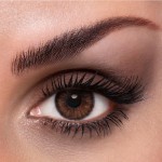 Lacelle Stylish Brown